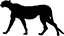 icon-cheetah